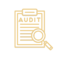 audit icon audit icon